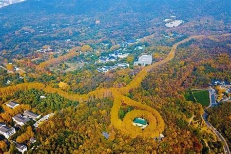 南京鍾山|钟山风景名胜区